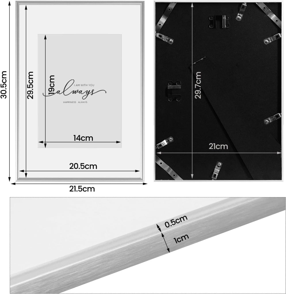 Set di 10 Cornice Foto, Portafoto A4 21x29,7cm, Cornice Argentato in Alluminio, Cornici per Documenti, Cornice per Foto da Parete o da Tavolo, Frontale Trasparente in plastica, BR9956sb-10