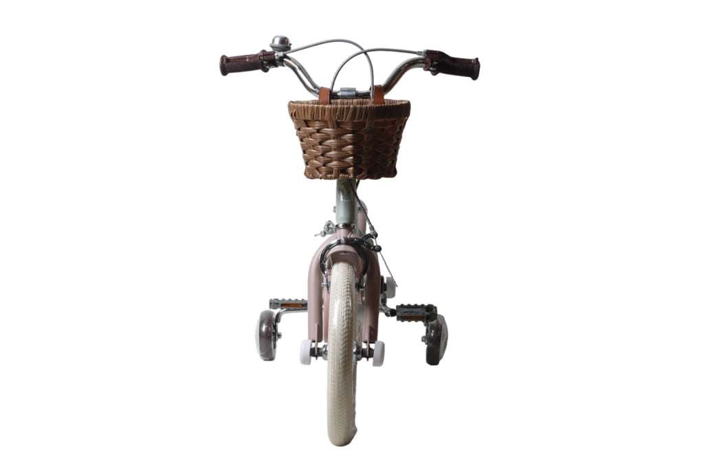 Bicicletta per Bambine Antonella 14 Pollici con Stabilizzatori e Cestino Verde e Rosa Verde e Rosa