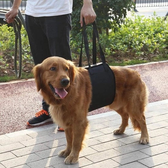 Aiuto per cani deboli - per uso anteriore o posteriore - aiuta a sollevare e a far camminare cani feriti o anziani
