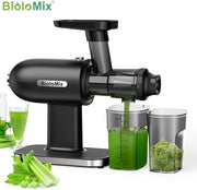 Sapcentrifuga Lenta per Frutta e Verdura - 500ML - 200W - Juicer a Cieco - Nero