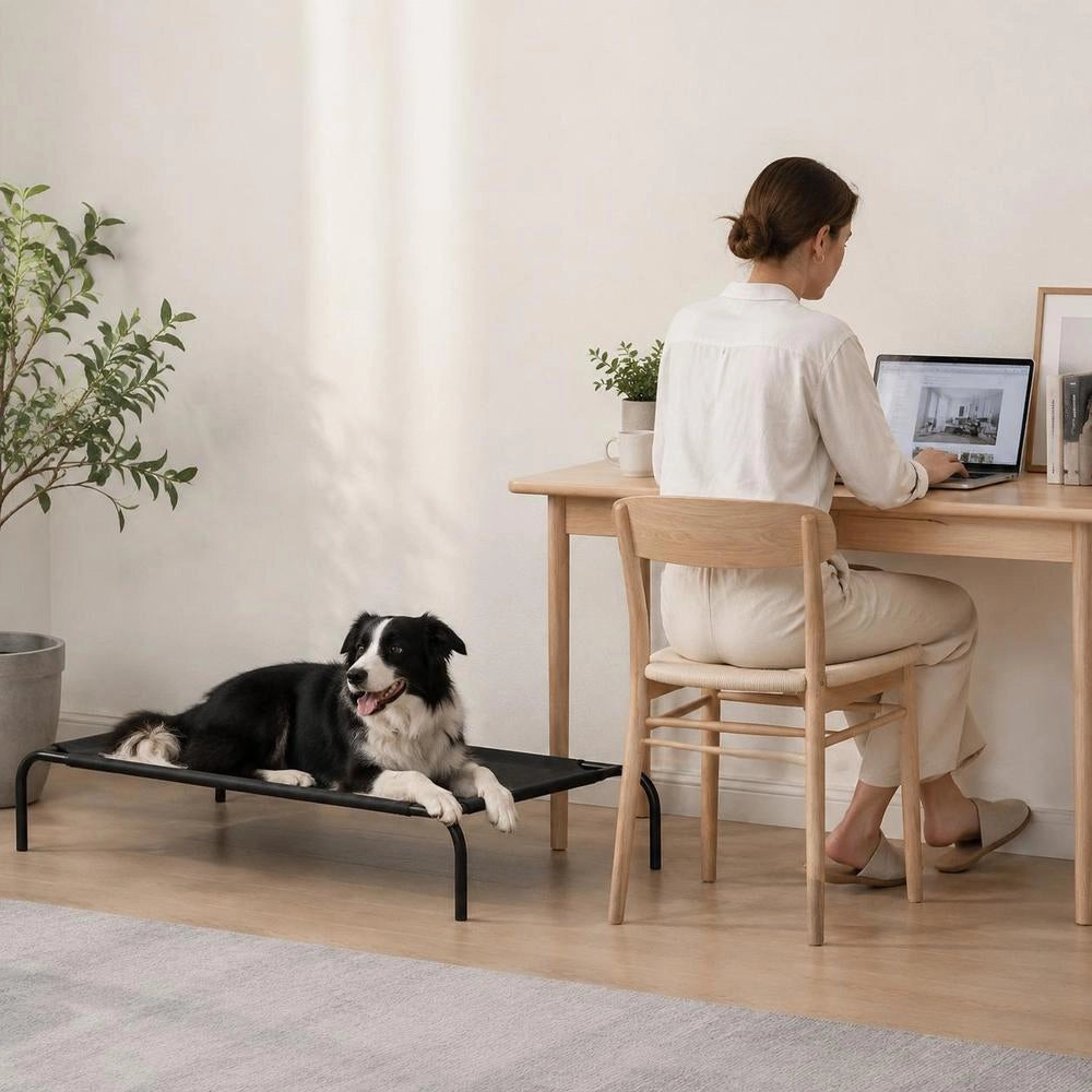 Elevated Dog Bed, Black, Size L, Textilene