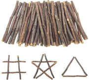 50 pezzi di artigianato in legno di betulla per decorazioni in stile naturale (legno di betulla marrone)