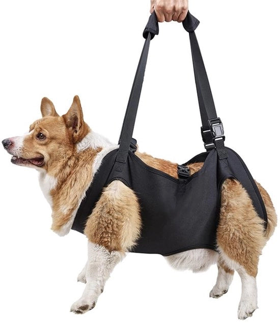 Supporto per cani adattabile - Cintura di sostegno per cani - Vestito di sostegno per cani - Per cani anziani - Lesioni articolari - Nero - Tessuto Oxford