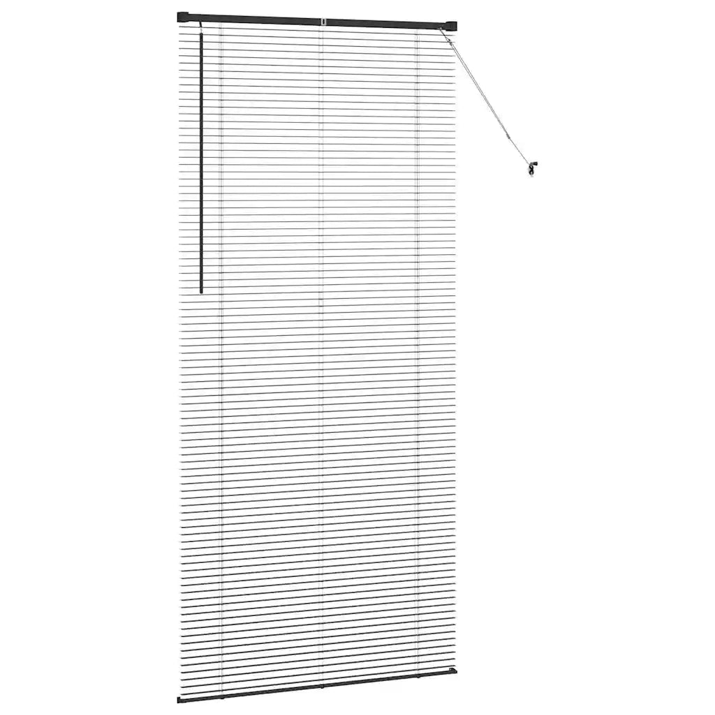 Tendaggi a Veneziana | Tenda a lamelle Nero 220 x 105 cm Alluminio