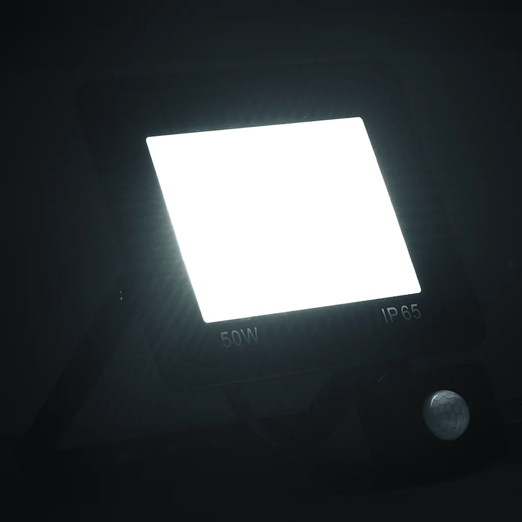 Faretto a LED con Sensore 50 W Bianco Freddo CFW8602511
