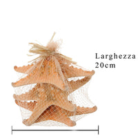 Set 12 Stelle Marine in Rete 20 cm