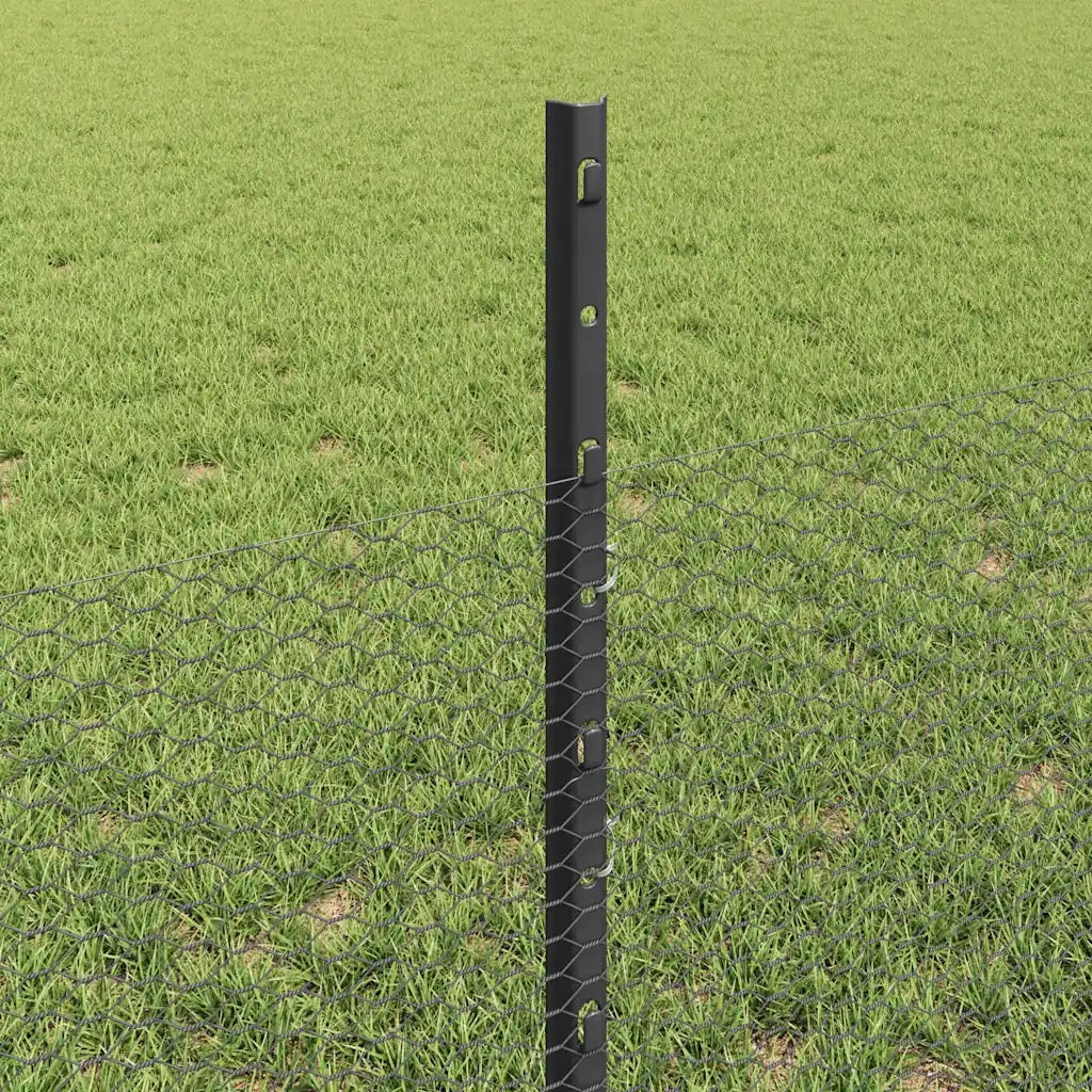 Recinzione da Giardino | Recinzione con Posto Grigio