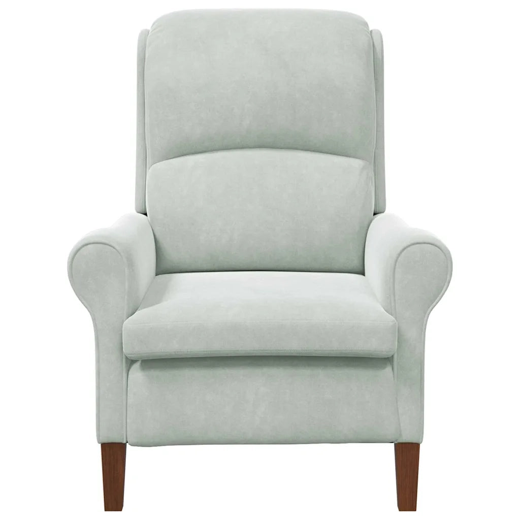 Poltrona-Divano Sedia-Poltroncina Grigio chiaro Velluto 266295