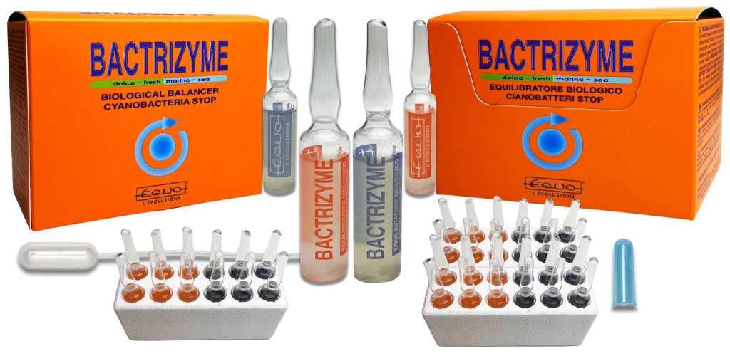 EQUO Bactrizyme 12 Fiale da 5ml - Attivatore batterico per l'equilibrio Biologico