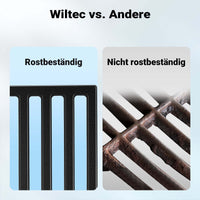 Griglia in ghisa per camino 30 x 44,5 cm, griglia in ghisa per barbecue a carbone e a gas, piastra in ghisa per carne, pesce, verdure