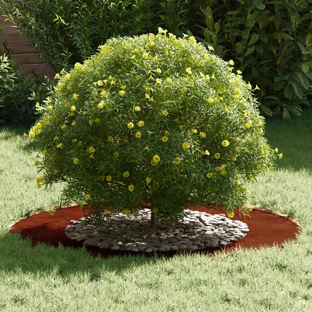 adatto per Anello d'Albero Piatto Marrone ?50 / 80 cm CFW1079150