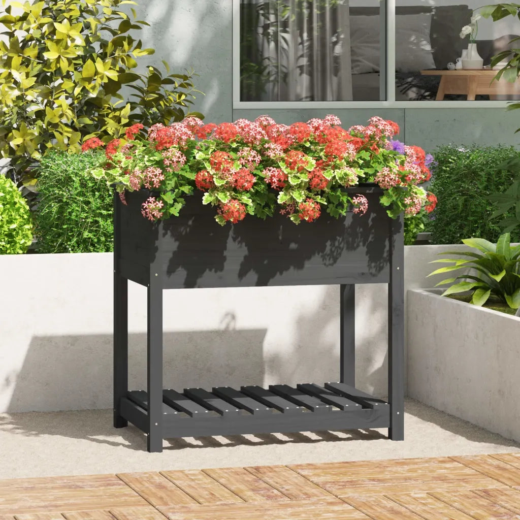 Fioriera | Cassetta per fiori | Vaso con Mensola Grigia 82,5x54x81cm in Legno Massello Pino