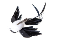 Rondini 10 cm 12 Pz con Clip