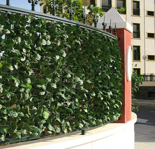 Arella Siepe Sintetica Artificiale 2000x100 cm in Polipropilene Ombreggiante Bauer Foglie di Lauro