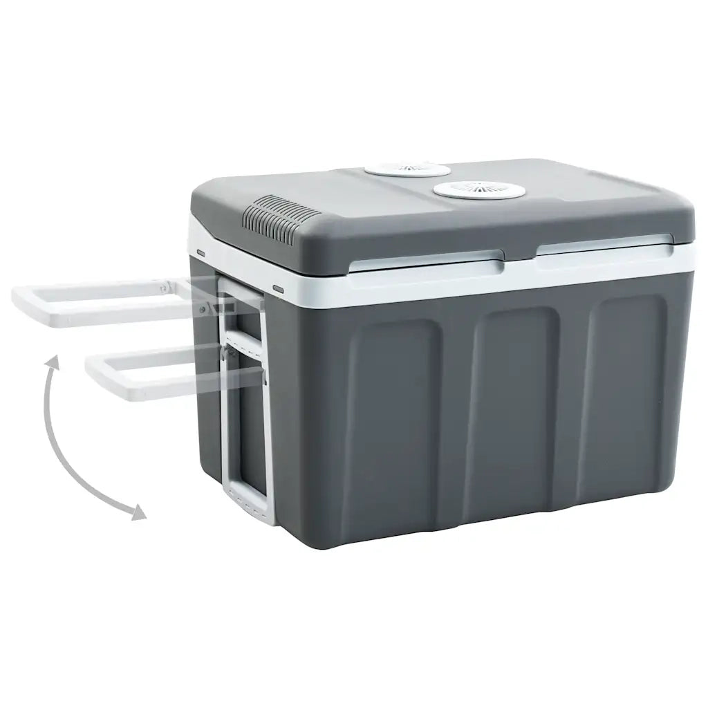 Scatola Termoelettrica Portatile 40 L 12 V 230 V E 51199