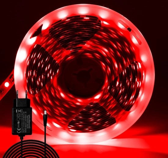 Luce LED a LED a 5M - SMD5050 - Flessibile e Tagliabile - Striscia di Luce LED Chiara per Interno - Camera da Letto, Bar, Cucina, Natale