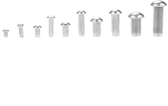 Assortimento di chiodi a testa per etichette e nomeplate - Acciaio inossidabile - 160 pezzi - Duraturo - Contenitore in plastica