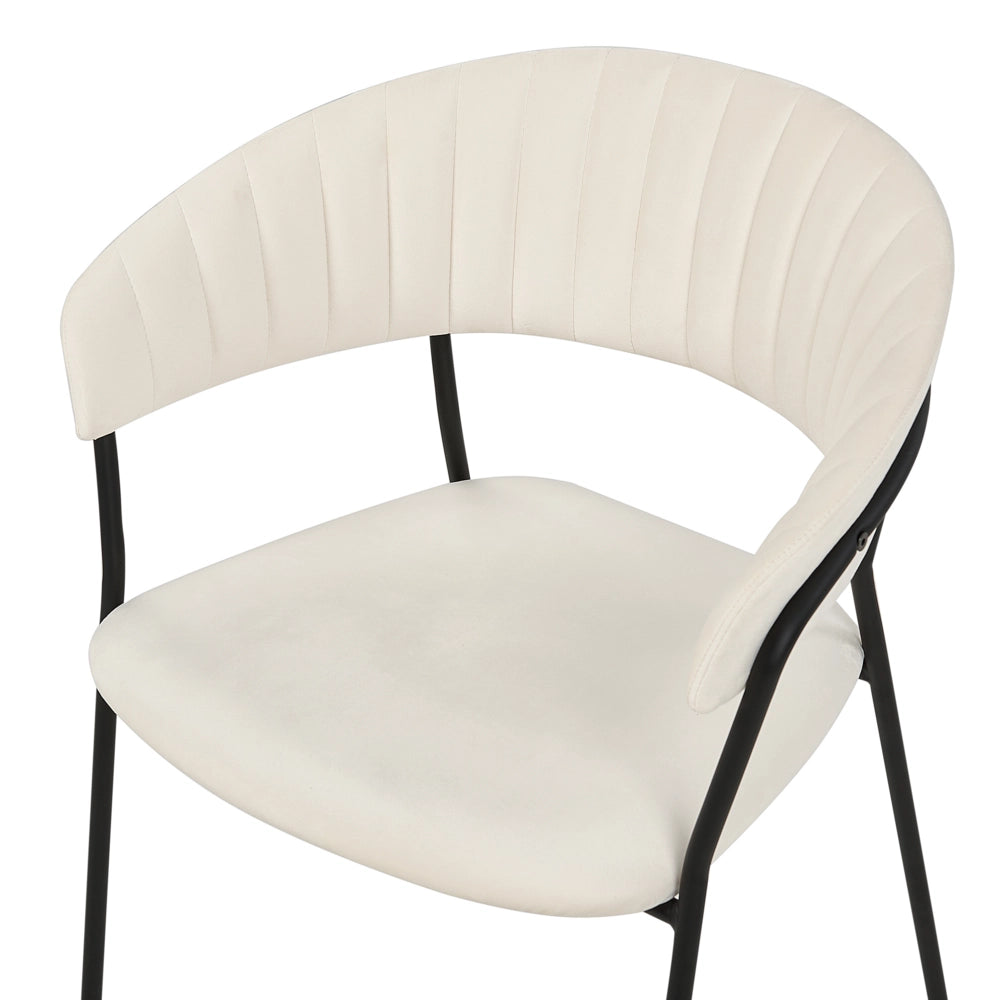 Set di 2 sedie da pranzo in tessuto vellutato bianco sporco  Rivestimento in metallo nero Gambe con braccioli Schienale curvo Design moderno e contemporaneo