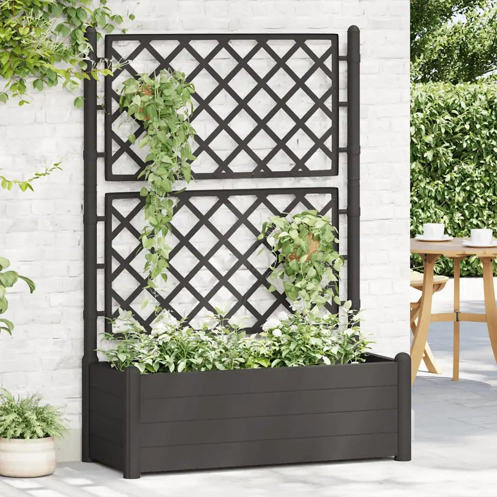 Fioriera | Cassetta per fiori | Vaso da Giardino con Graticcio 100x43x142 cm PP Antracite