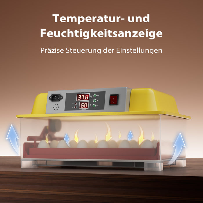 Incubatrice automatica per 24 uova, con regolazione temperatura e umidità, Covatrice