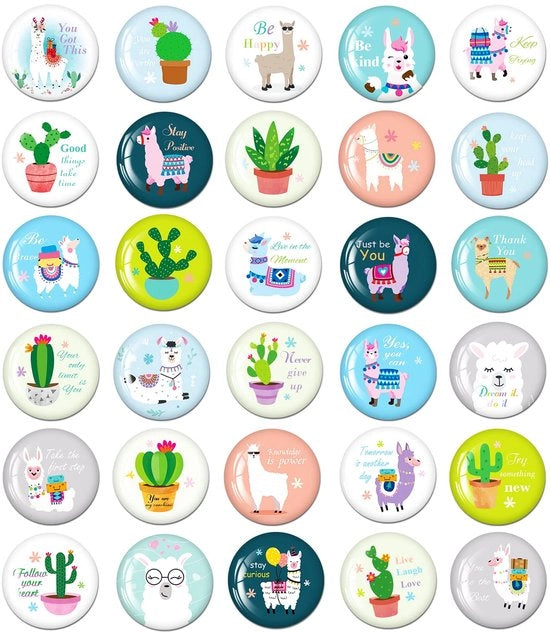Magnetismo Decorativo con Lama per Frigorifero Magnetismo Decorativo per Bambini per Tavola Magnetica Frigorifero Whiteboard Cucina Ghiaccio 30 pezzi