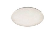 Plafoniera da Interno a LED in Plastica Bianco