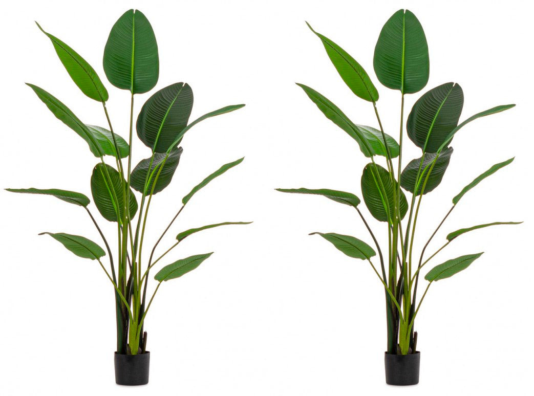 Set 2 Piante Artificiali Strelitzia 170x32x185 cm in Plastica con Vasi Verde