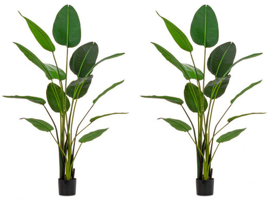 Set 2 Piante Artificiali Strelitzia 170x32x185 cm in Plastica con Vasi Verde