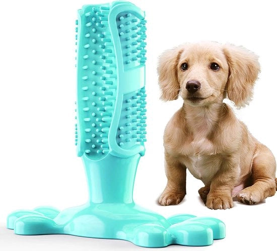Chicco per pulire i denti per cani di taglia media (10-18kg) - Gomma naturale - Blu
