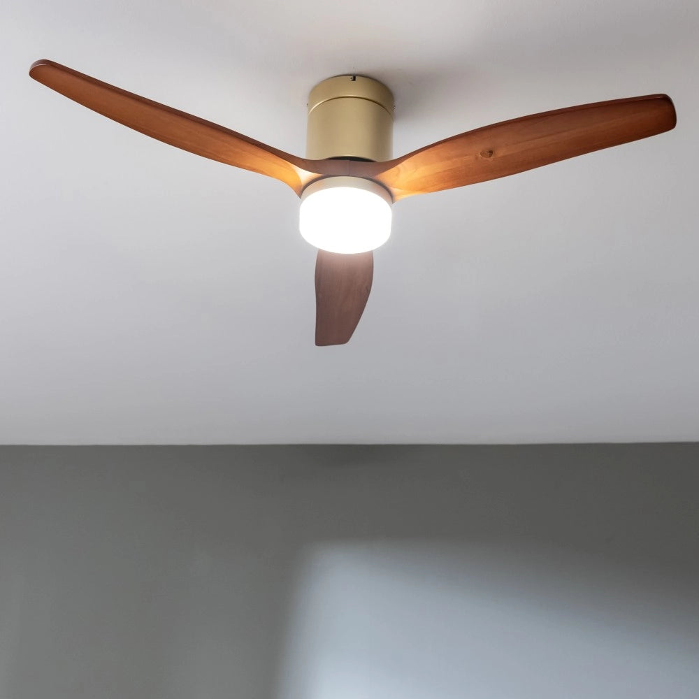 CECOTEC A01_EU01_122148 - EnergySilence Aero 5600 Classic Gold&DarkWood
