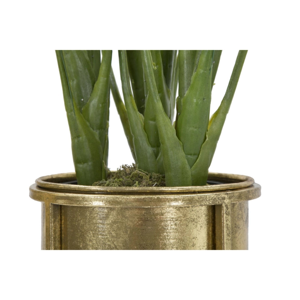 Set di 2 Vasi per Piante VKH402, Oro, Metallo, 27x27x62 cm