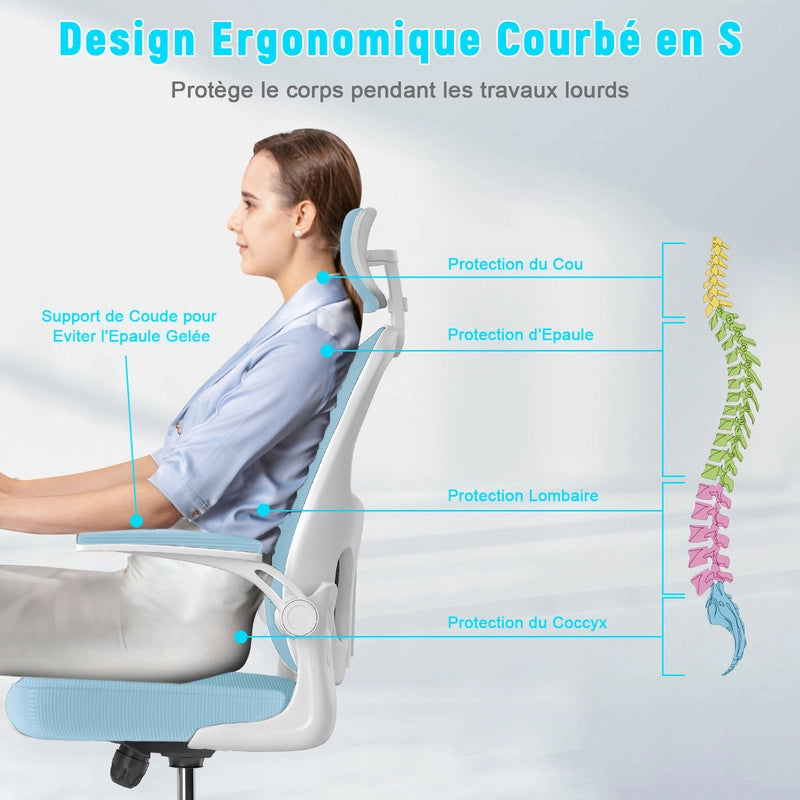 Sedia da ufficio - HAMLODY Poltrona ergonomica con braccioli 2D, altezza poggiatesta supporto lombare schienale regolabile blu
