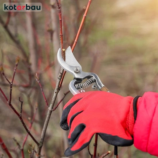 Taglierini per giardino per potature e recisione rami Acciaio con manico in legno 22 cm