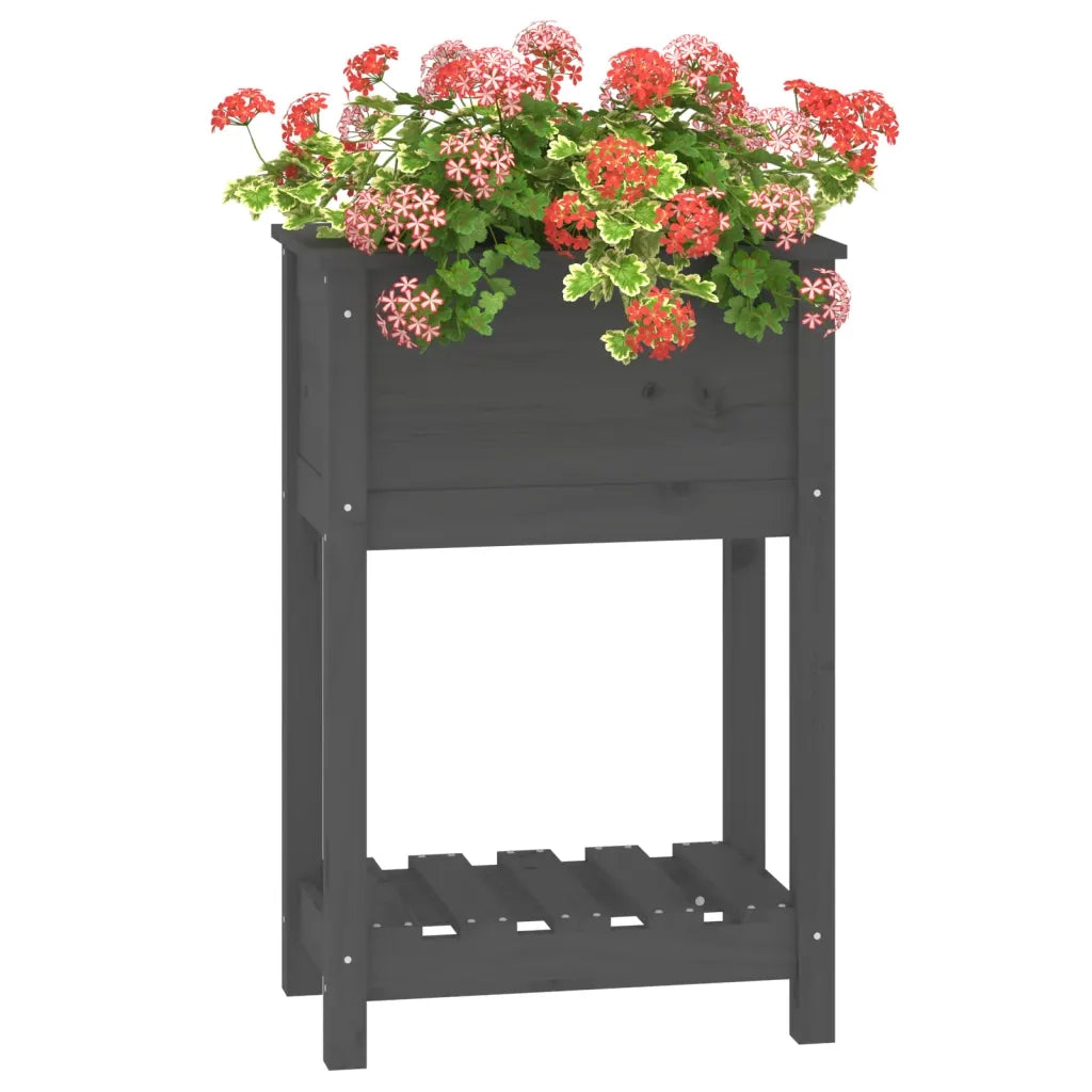 Fioriera con Mensola Grigia 54x34,5x81cm Legno Massello di Pino 823754