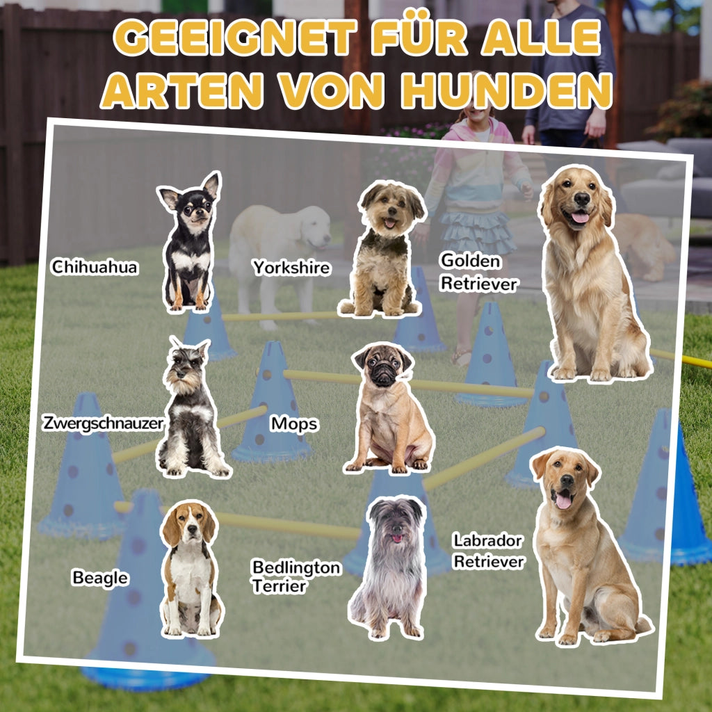Set Agility per Cani 6 Pezzi ¨C Xylo ¨C Ostacoli Addestramento con 12 Coni 6 Ostacoli Borsa