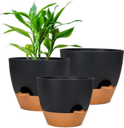 Pianta con sistema di irrigazione - Pianta auto-irrigante per orchidee per interni e esterni con sottopianta Pianta con sistema di irrigazione