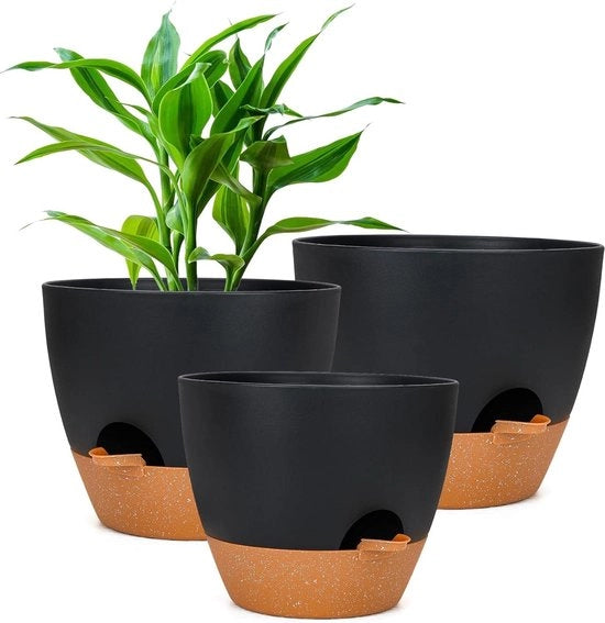 Pianta con sistema di irrigazione - Pianta auto-irrigante per orchidee per interni e esterni con sottopianta Pianta con sistema di irrigazione