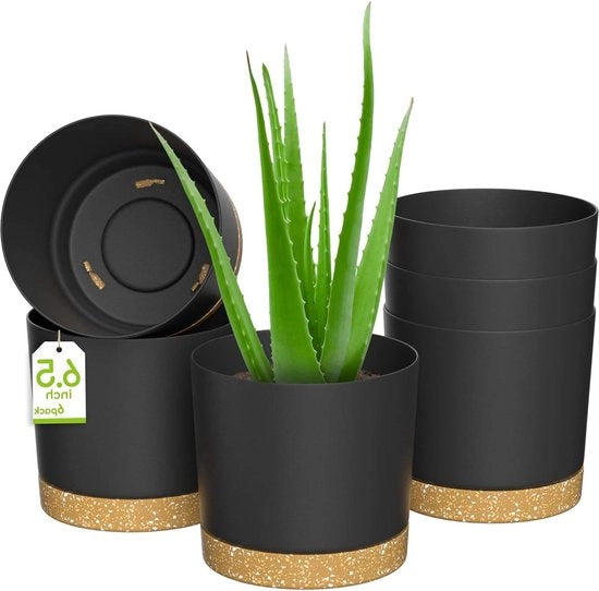 Pannelli per piante in plastica di 165 cm con fori di drenaggio - Grande set di 6 vasi per piante per giardino, finestra e balcone (colore grigio scuro)