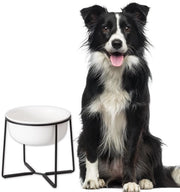 Bacetto alimentare per cani grandi - ceramico - antiscivolo - 1600 ml - bianco