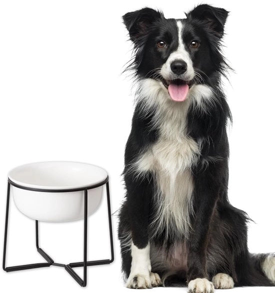 Bacetto alimentare per cani grandi - ceramico - antiscivolo - 1600 ml - bianco