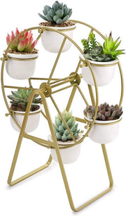 Supporto per piante per succulente con piedistallo in ceramica, display per grandi piante, supporto per fiori miniatura con vaso d'oro.