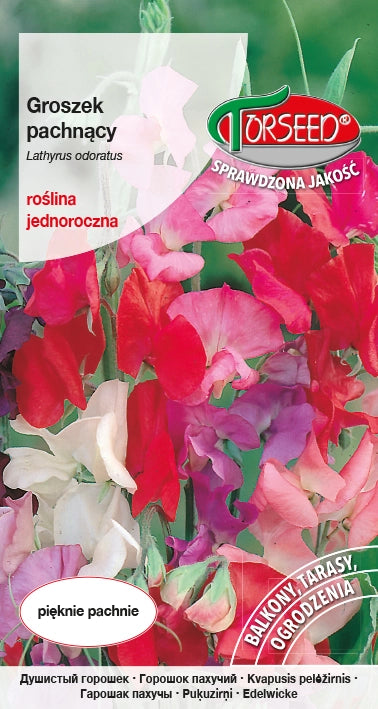 Piselli dolci - Lathyrus odoratus mix 4g