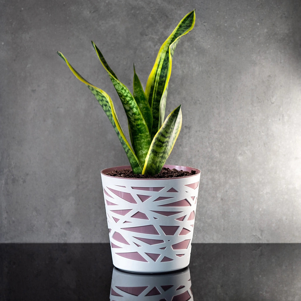 KADAX - Inserto in plastica per vaso di fiori e piante, 15 cm, rosa