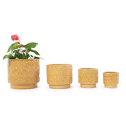 Fioriera a più livelli set di 4 vasi cilindrici con foro di drenaggio resistente al gelo in ceramica giallo