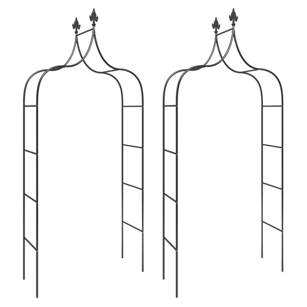 Archi da Giardino 2 pz Neri 120x38x260 cm Acciaio