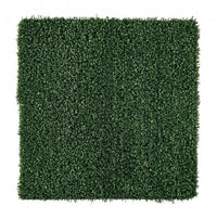 Erba Sintetica per Giardino 25x1m 10mm Victoria