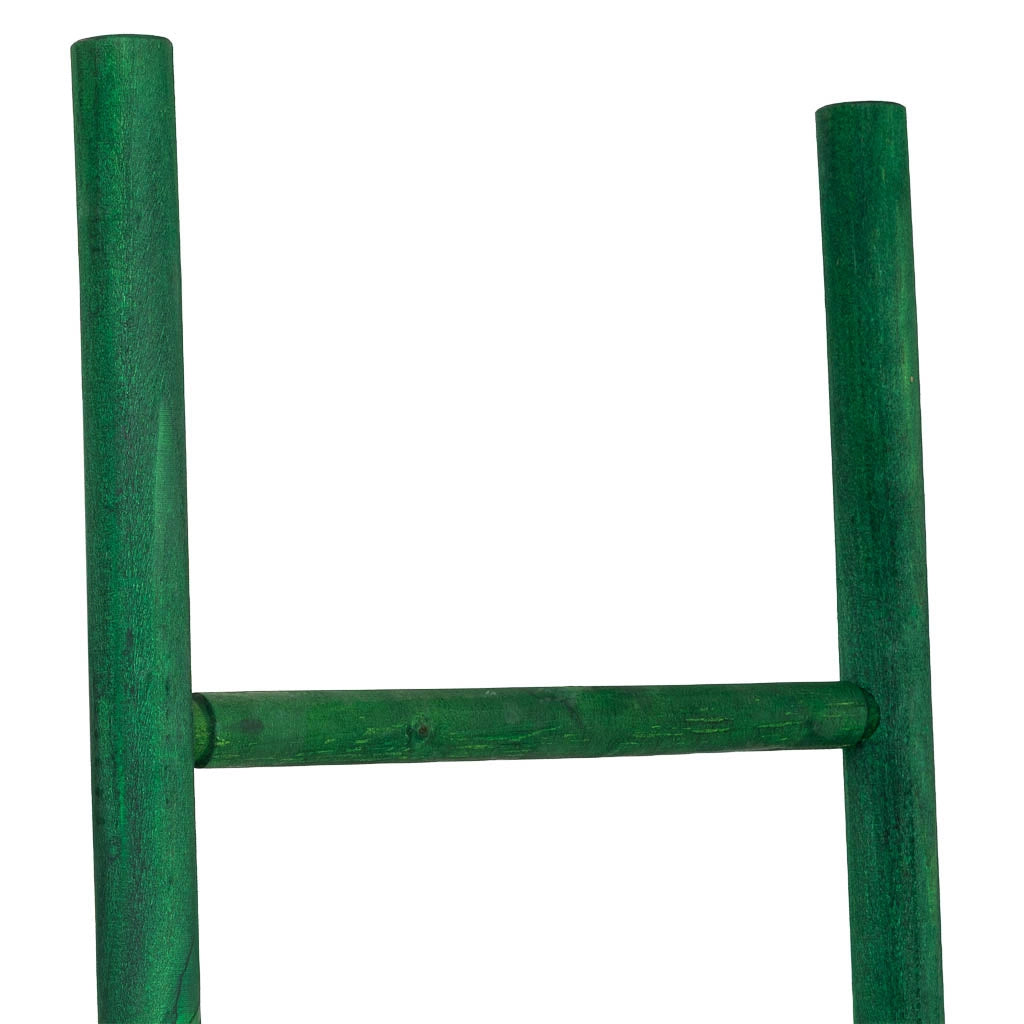 Scala con ripiani in legno verde 44x3x150h cm