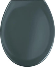 Sedile di Toilette in Plastica Termoisetata, Grigio Scuro