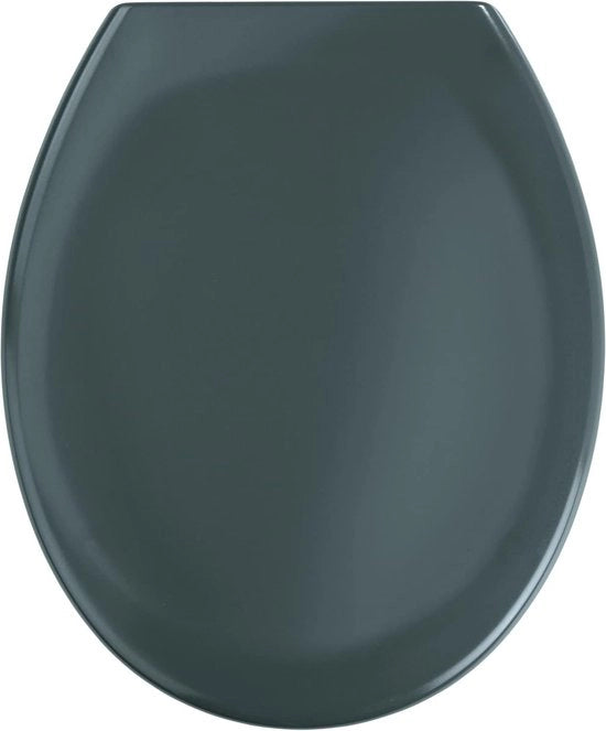Sedile di Toilette in Plastica Termoisetata, Grigio Scuro