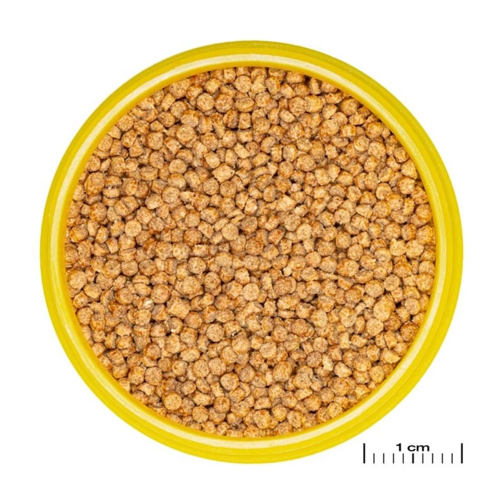 JBL ProNovo Cichlid Grano S - Mangime base in granuli per Ciclidi da 3 a 10cm Formato: 100 ml